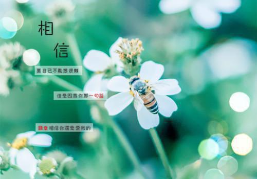 梦与笔同行