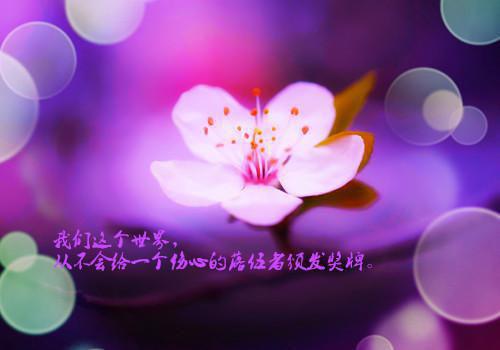 关于现代爱情散文精选