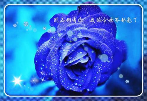 试用期辞职报告怎么写