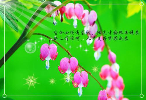 赞美别人的句子