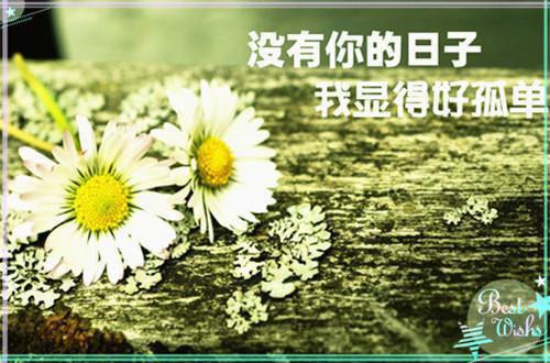 50条英语励志格言警句