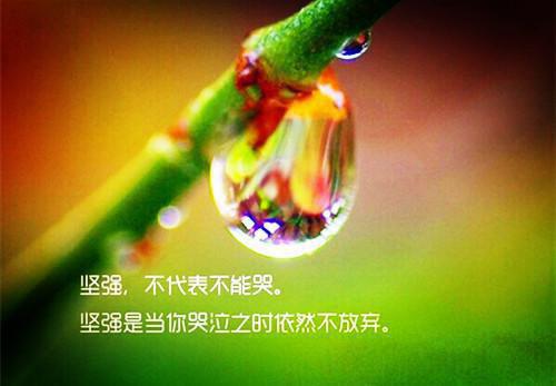 给客户的生日祝福语集锦