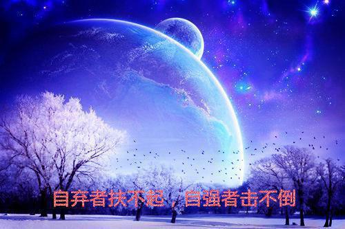 525大学生心理健康日活动的工作总结