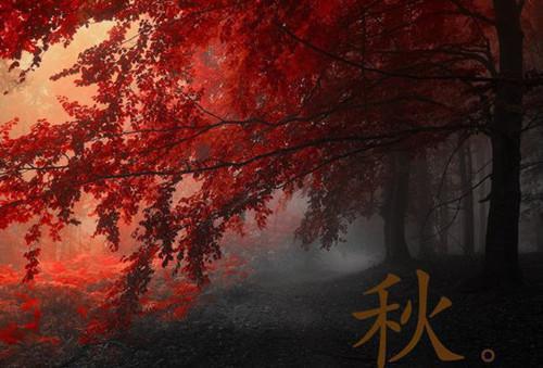 时溪江瑾宸（此情只为长久时溪江瑾宸）全文免费阅读无弹窗大结局_ （时溪江瑾宸）此情只为长久时溪江瑾宸最新章节列表_笔趣阁（此情只为长久时溪江瑾宸）