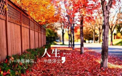 时咛裴砚完整在线阅读 时咛裴砚无弹窗