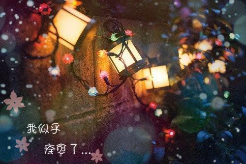 感动在心间散文
