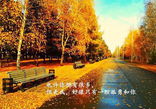 关于教师年度总结模板汇编5篇
