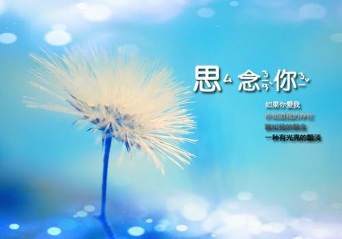 感恩母爱的名人名言