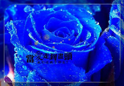 辩论社纳新策划书