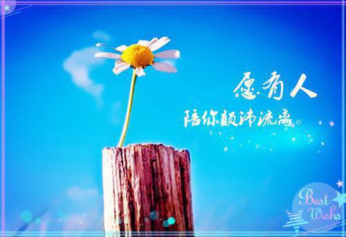 城管队员个人年终总结