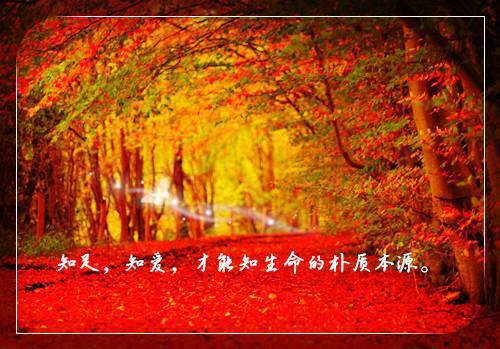 会计工作转正总结范文