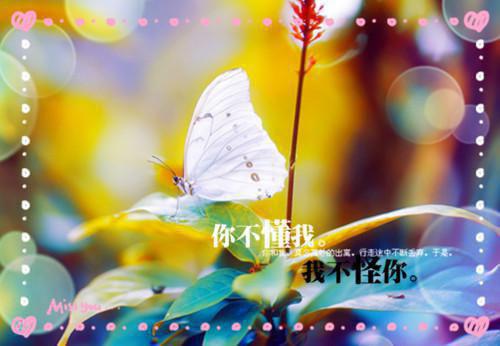 监理的辞职报告锦集6篇