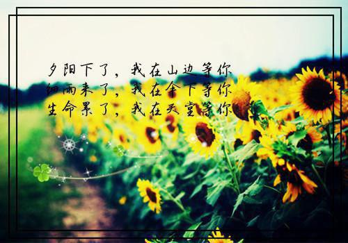 最经典的童话故事