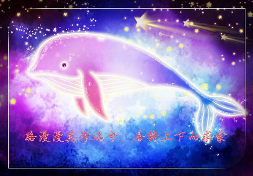 最新白领辞职报告范文