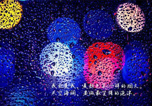经典句子人生感悟爱情