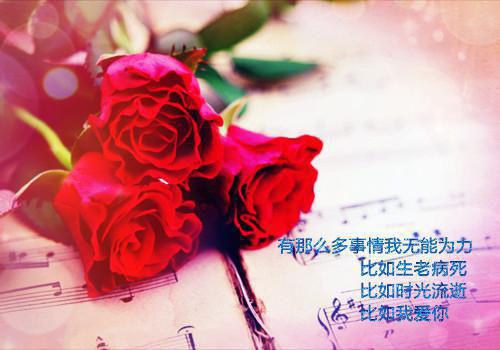 情诗——《望月婆罗门引·中元步月》