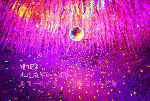 海贼王经典台词大全集