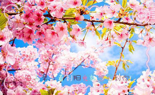 2023年春节活动策划方案