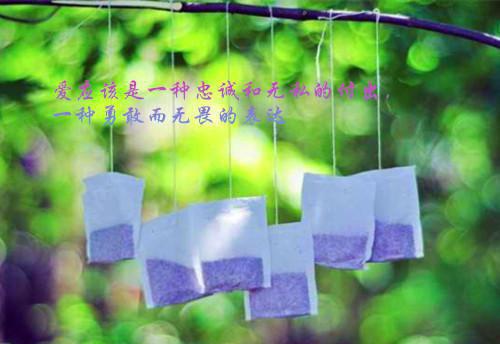 夏天的诗——《过故人庄》