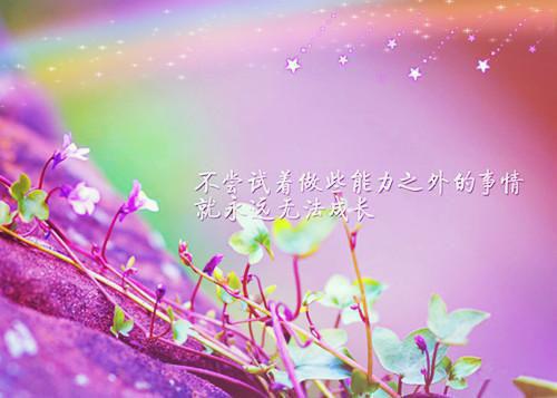 【必备】护士辞职报告模板汇编6篇