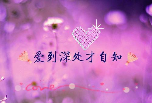 努力成就了我作文