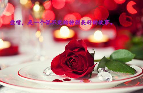 最搞笑的生日祝福短信