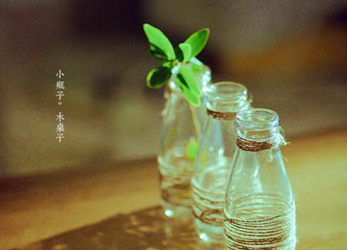 黑皮笔记（宋清苓崔辰逸）全文免费阅读无弹窗大结局_(黑皮笔记)宋清苓崔辰逸免费阅读无弹窗最新章节列表_笔趣阁（黑皮笔记）