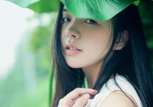 关于梅花的散文诗歌欣赏