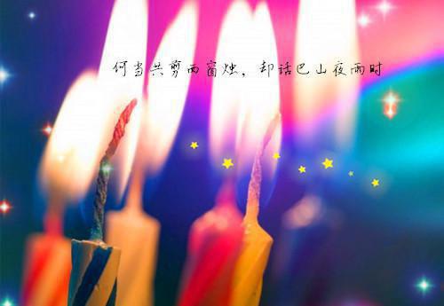教师述职报告范文锦集5篇