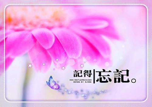 感悟人生的经典句子：繁华历尽