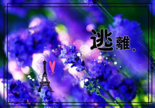 初中的成语典故精选