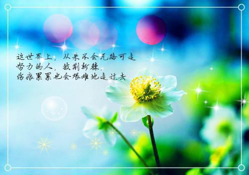 追求梦想的励志名言