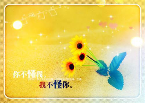 对英语的总结与反思报告