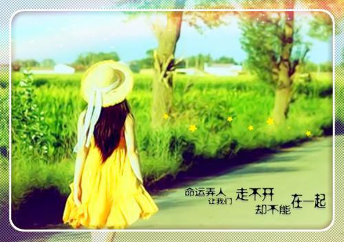 男主很黏女主的小说有哪些