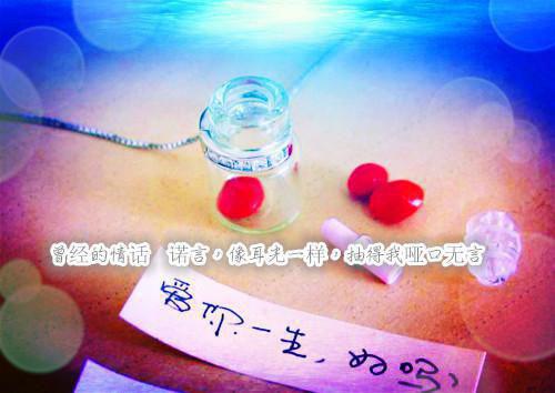 小林的小说烛光轻吻纸玫瑰沈茹云秦逸+全文阅读