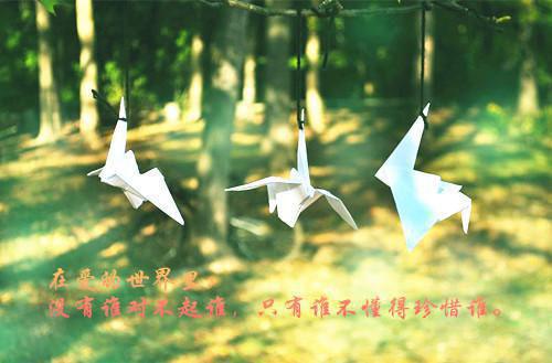 小说(许昌陈若青)_(许昌陈若青)全文阅读2023更新无弹窗大结局_最新章节列表（许昌陈若青）