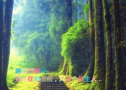 鞋子店长辞职报告范文