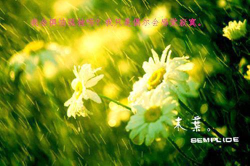 再睁眼我怎么突然多了个娇夫：宝藏美文姜野贺楼小说_再睁眼我怎么突然多了个娇夫：宝藏美文免费阅读