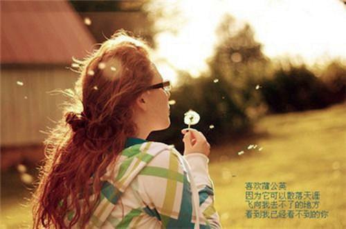 陆烨夏苏小说全文免费阅读无弹窗大结局_（陆烨夏苏)陆烨夏苏最新章节列表笔趣阁（陆烨夏苏）