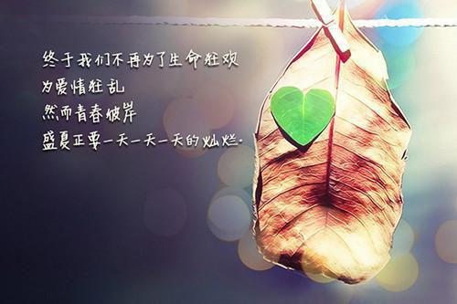 虚心向人学习的名言