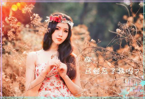 简单的幼儿寓言故事