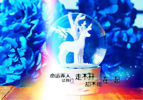 埋怨型辞职报告