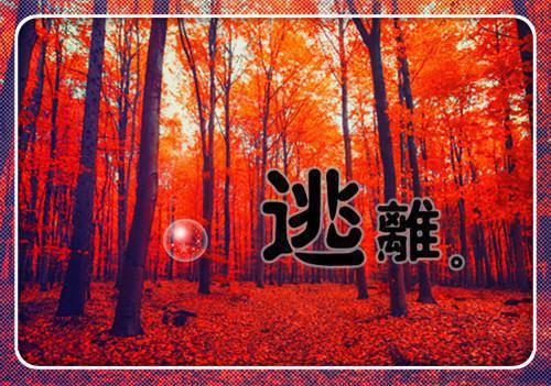 以机遇与成功为话题的作文三篇