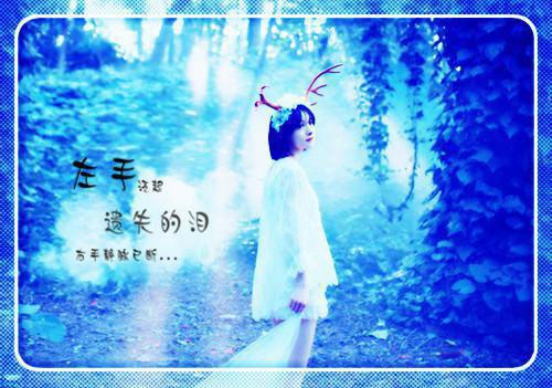 描写西湖的诗句——《杭州回舫》