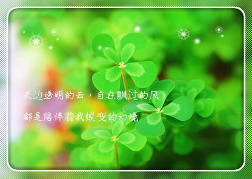 叶暖顾寒川(叶暖顾寒川)（叶暖顾寒川）完整章节列表_笔趣阁