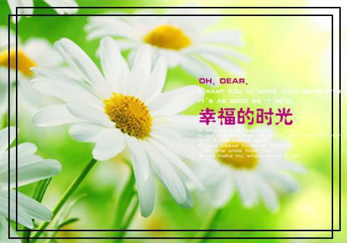 宋宴汐沈祟 全文免费阅读无弹窗大结局（宋宴汐沈祟）_（宋宴汐沈祟 ）宋宴汐沈祟最新章节列表_笔趣阁（宋宴汐沈祟 ）
