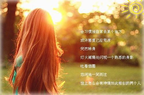 法学专业的实习自我鉴定