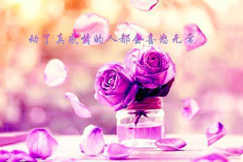 新教师的述职报告