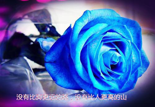 行政文员试用期工作总结