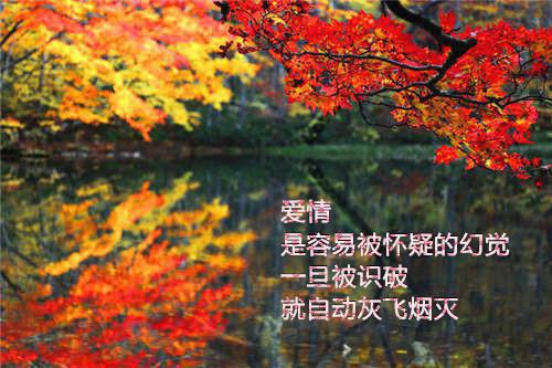 充满正能量的晚安心语